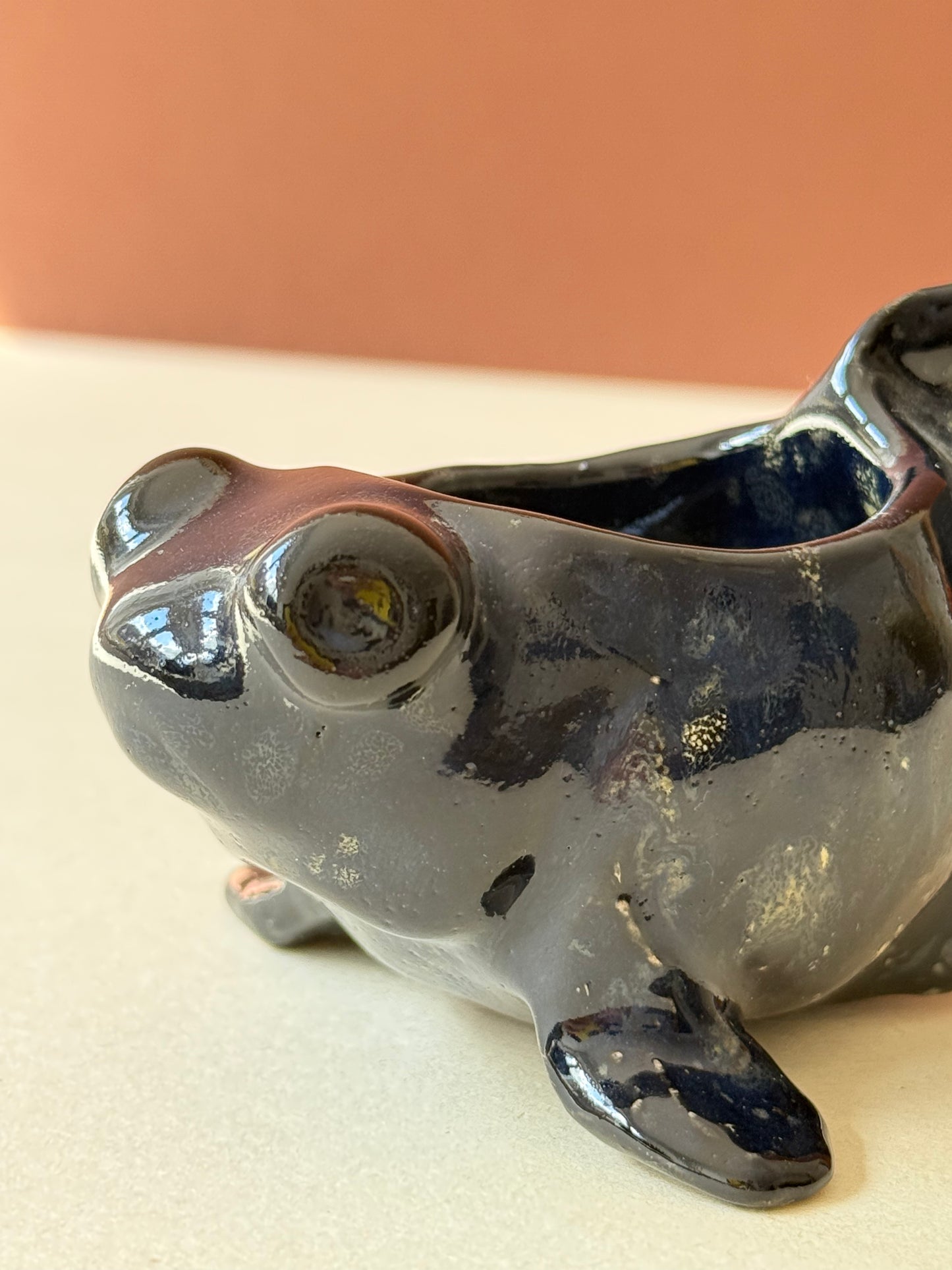 Butterfly Telescope Goldfish