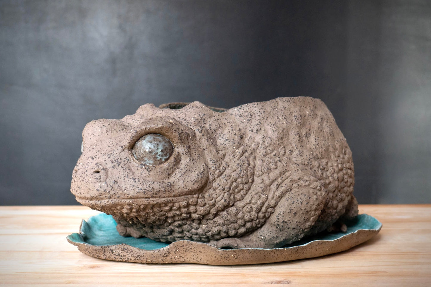Toad
