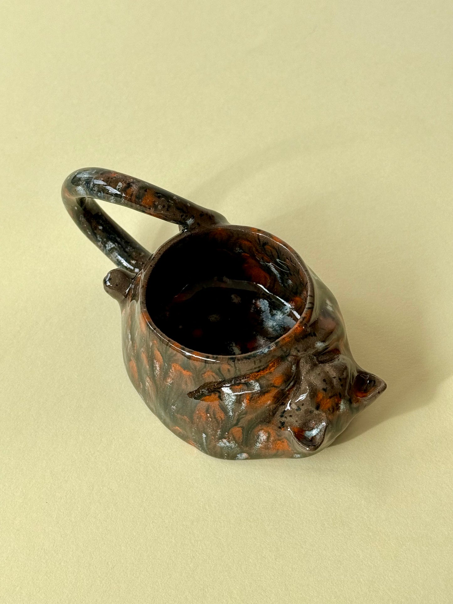 Cup The Cat is sleeping