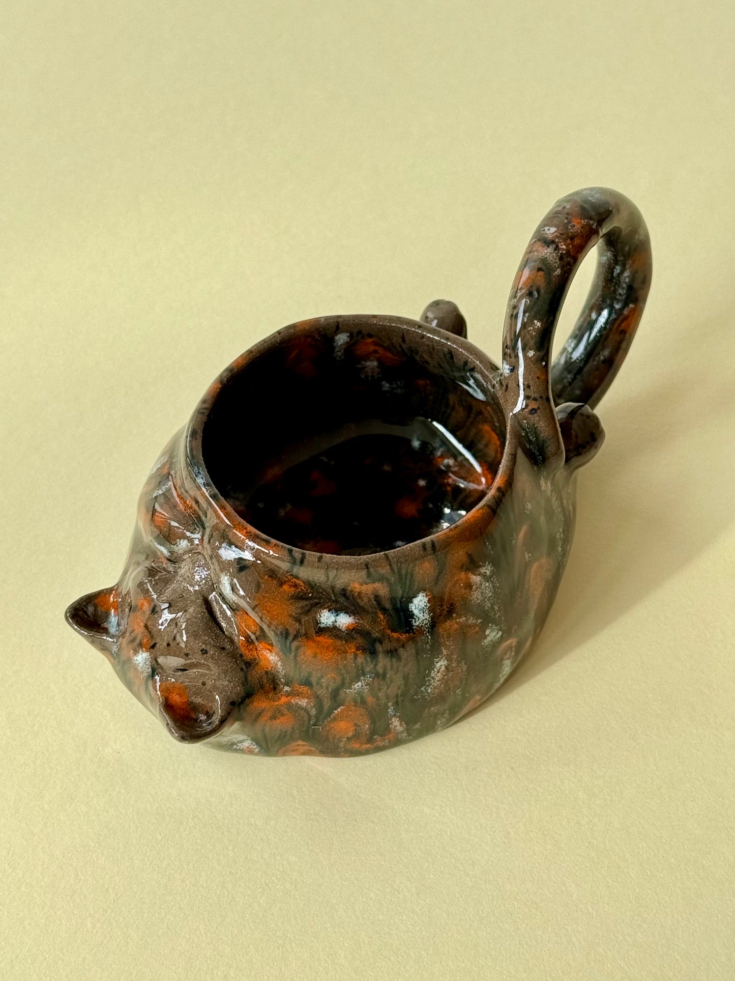 Cup The Cat is sleeping