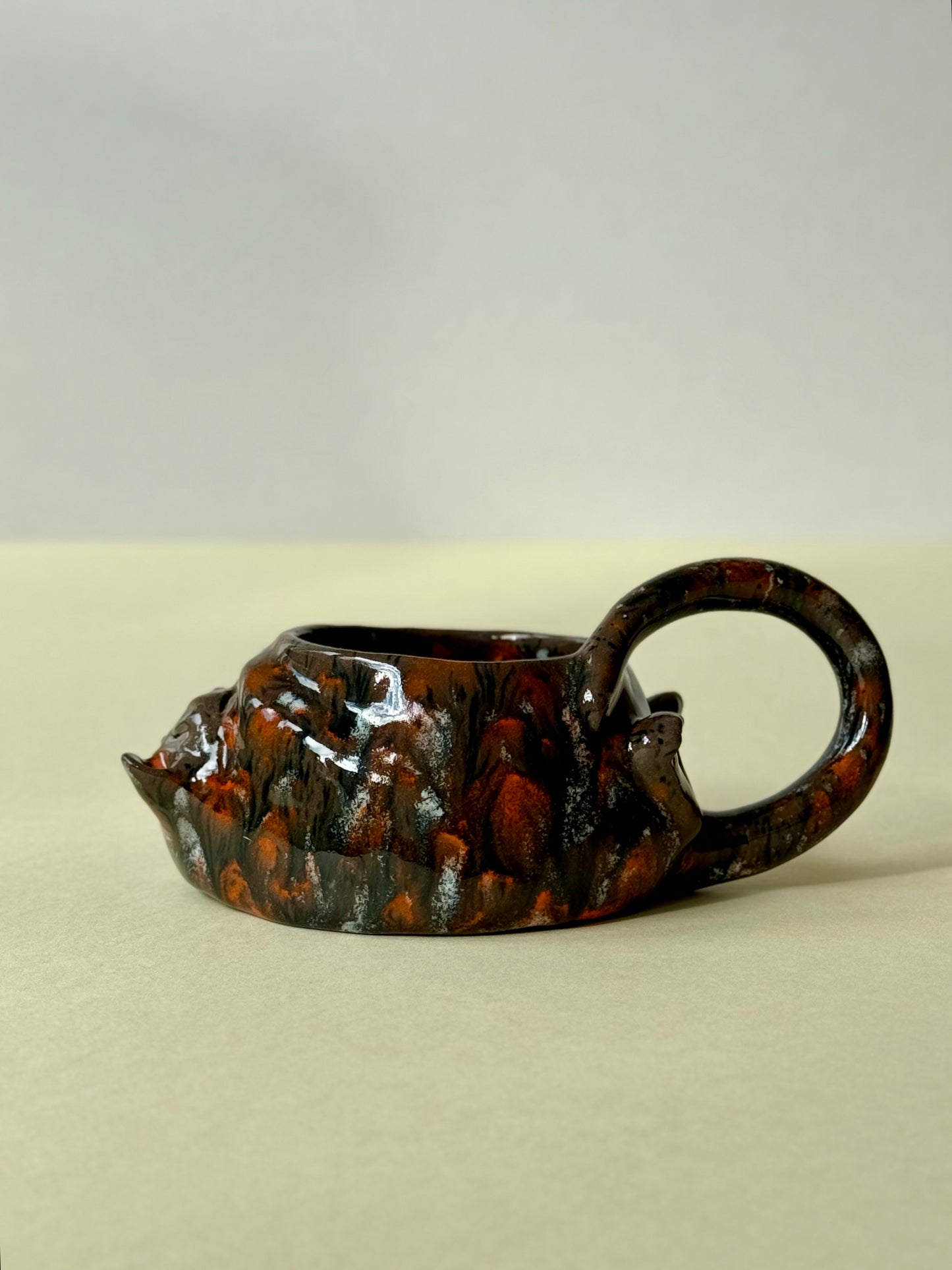 Cup The Cat is sleeping