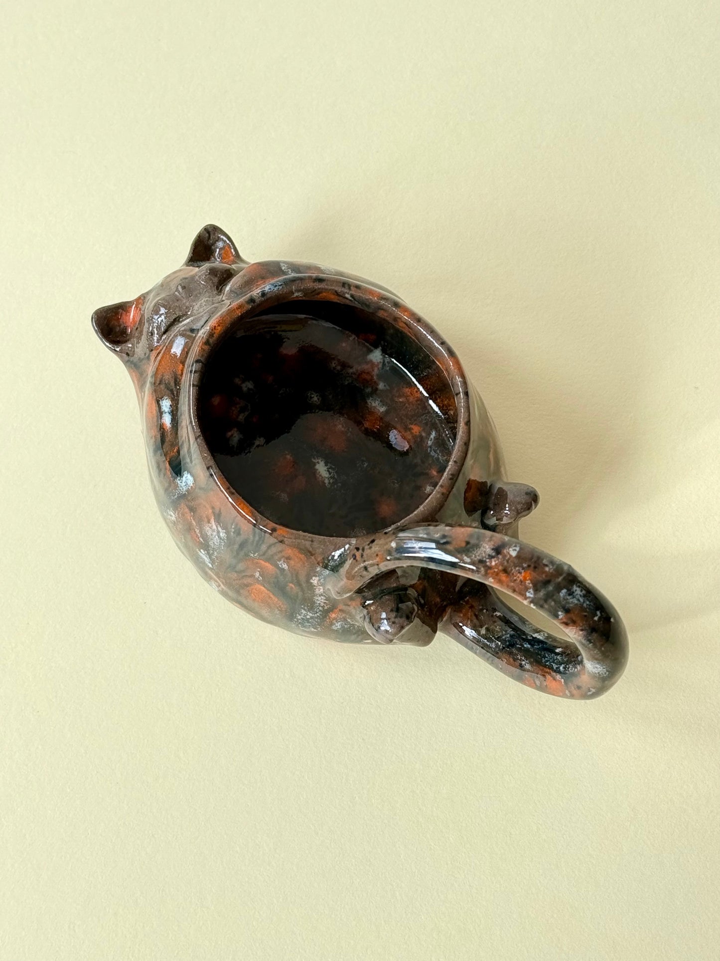 Cup The Cat is sleeping