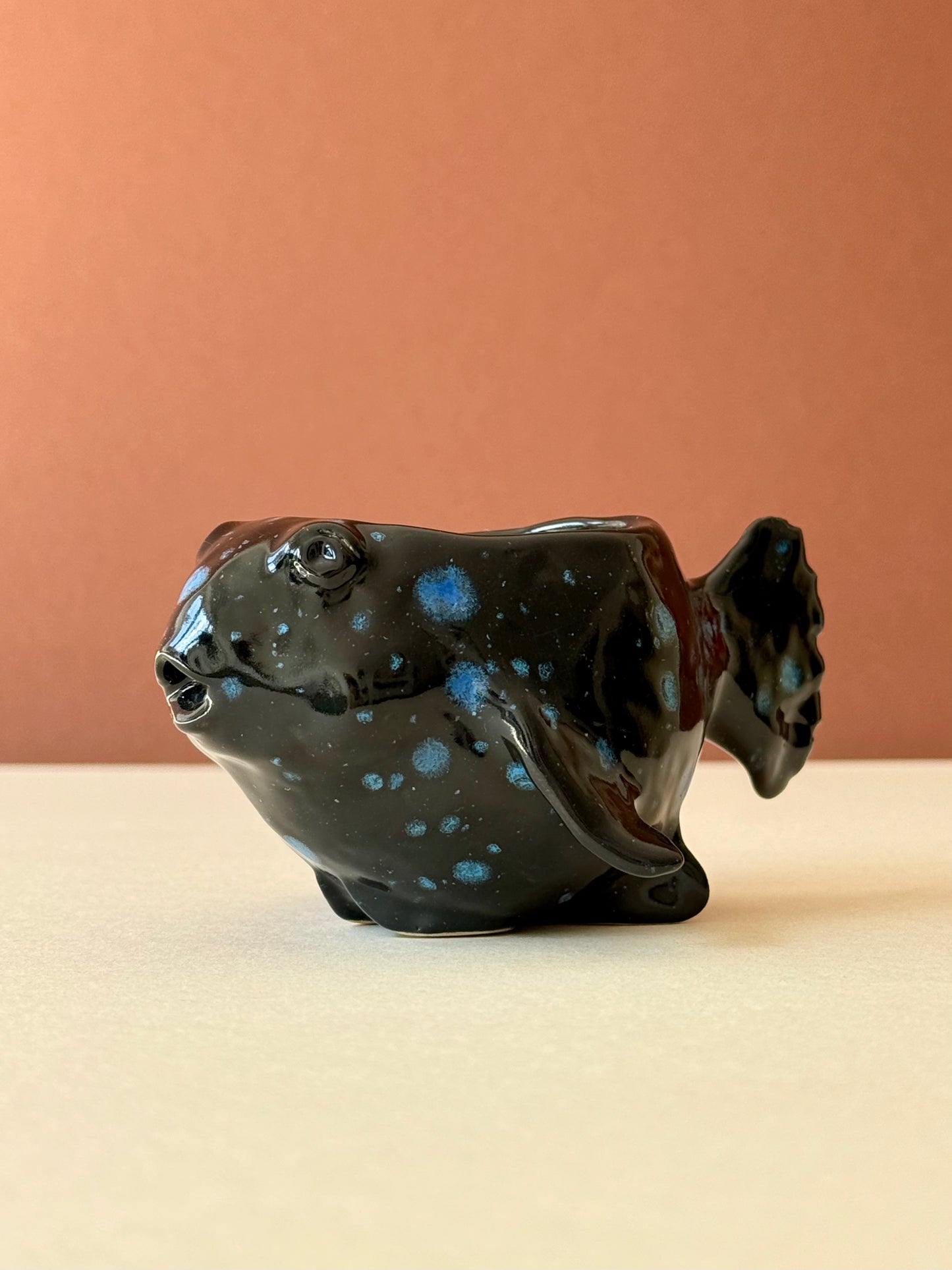 Sauceboat Night Fish