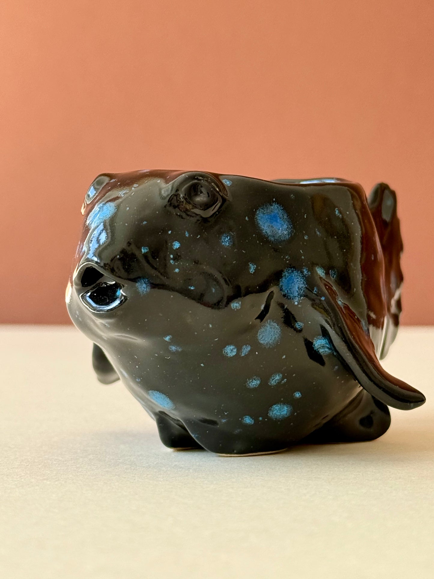 Sauceboat Night Fish