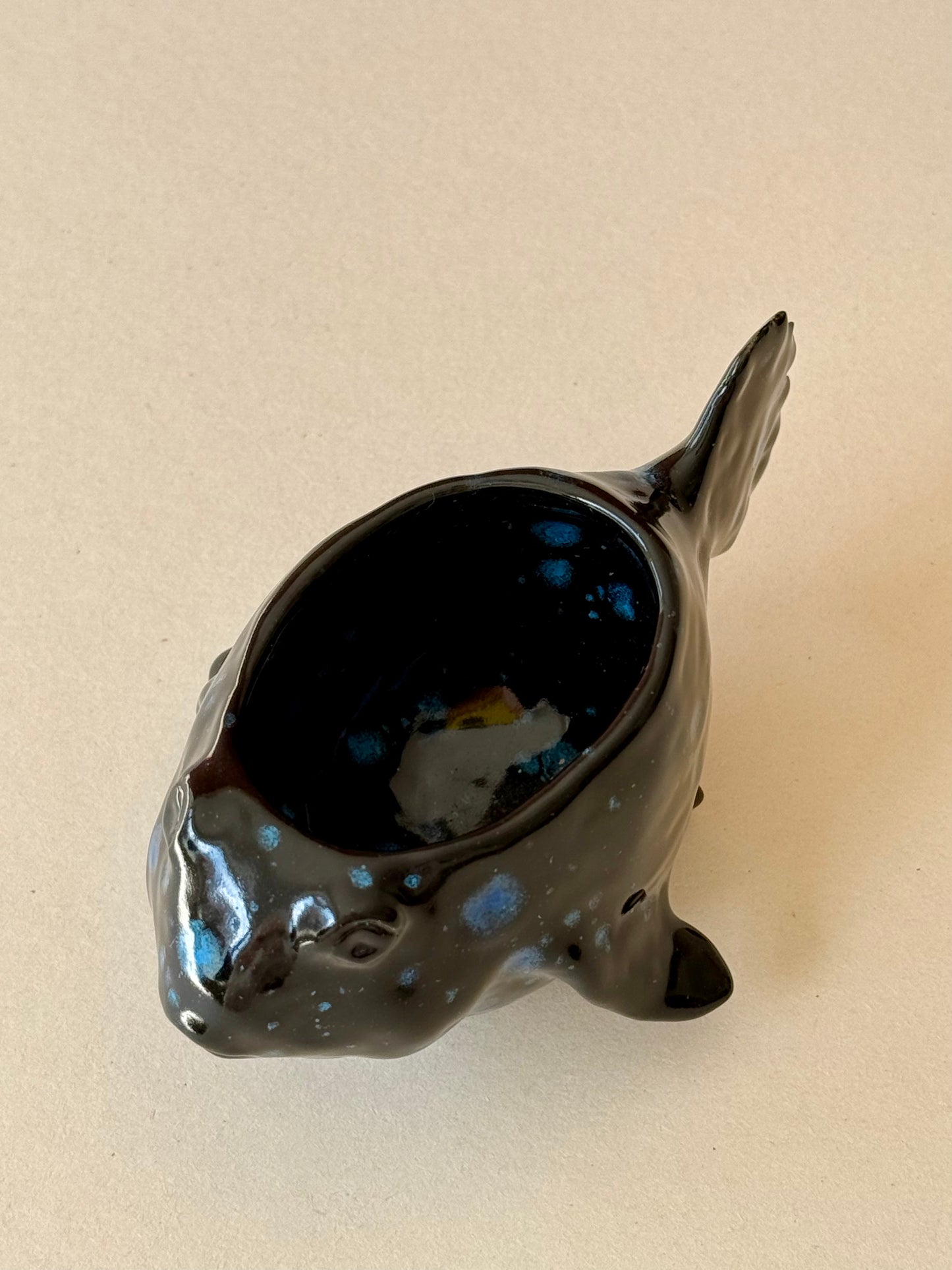 Sauceboat Night Fish