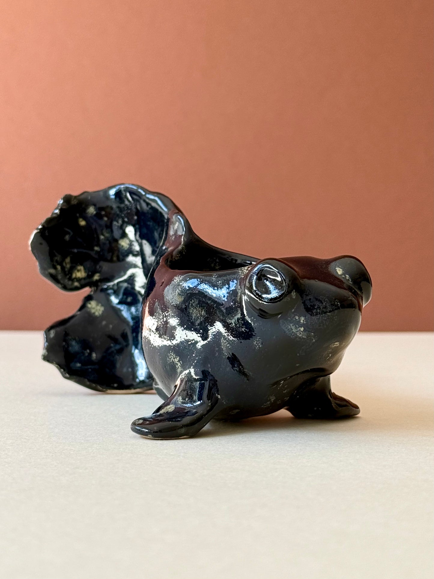 Butterfly Telescope Goldfish