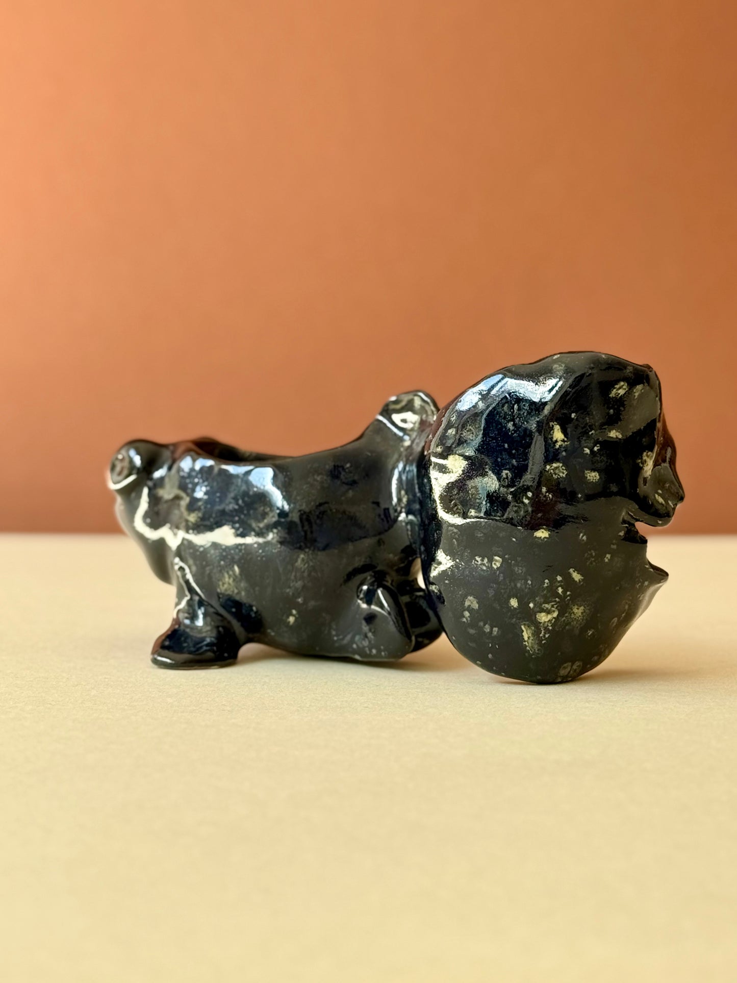 Butterfly Telescope Goldfish