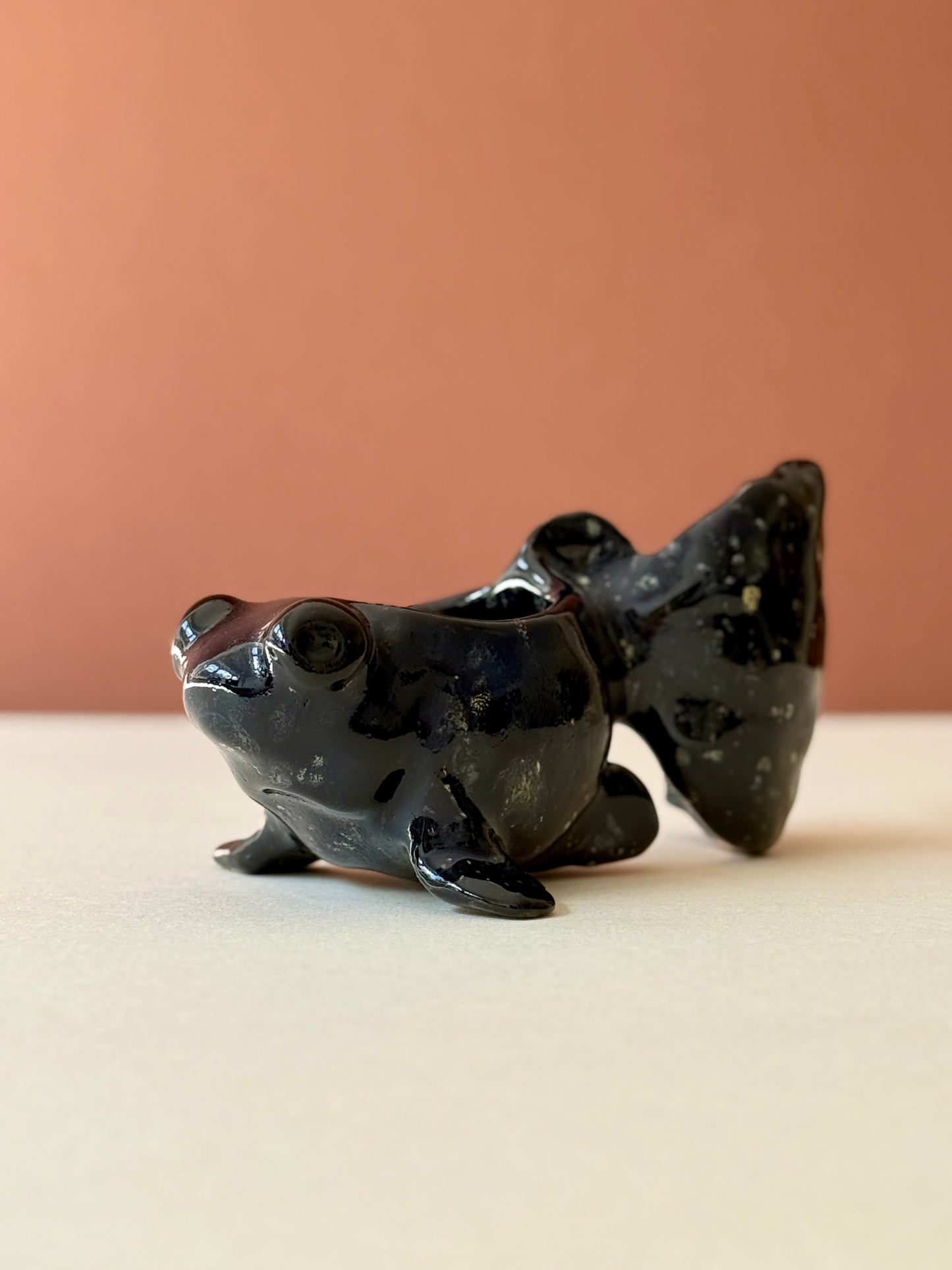 Butterfly Telescope Goldfish