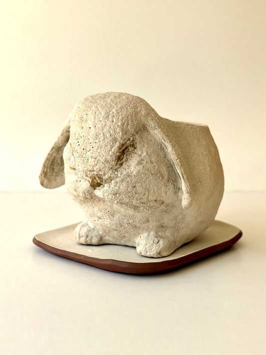 Flowerpot Rabbit