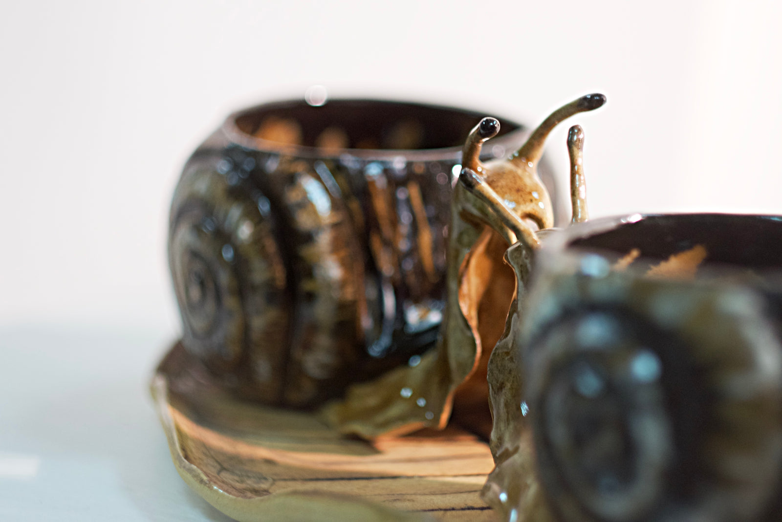 A Pair of Snails