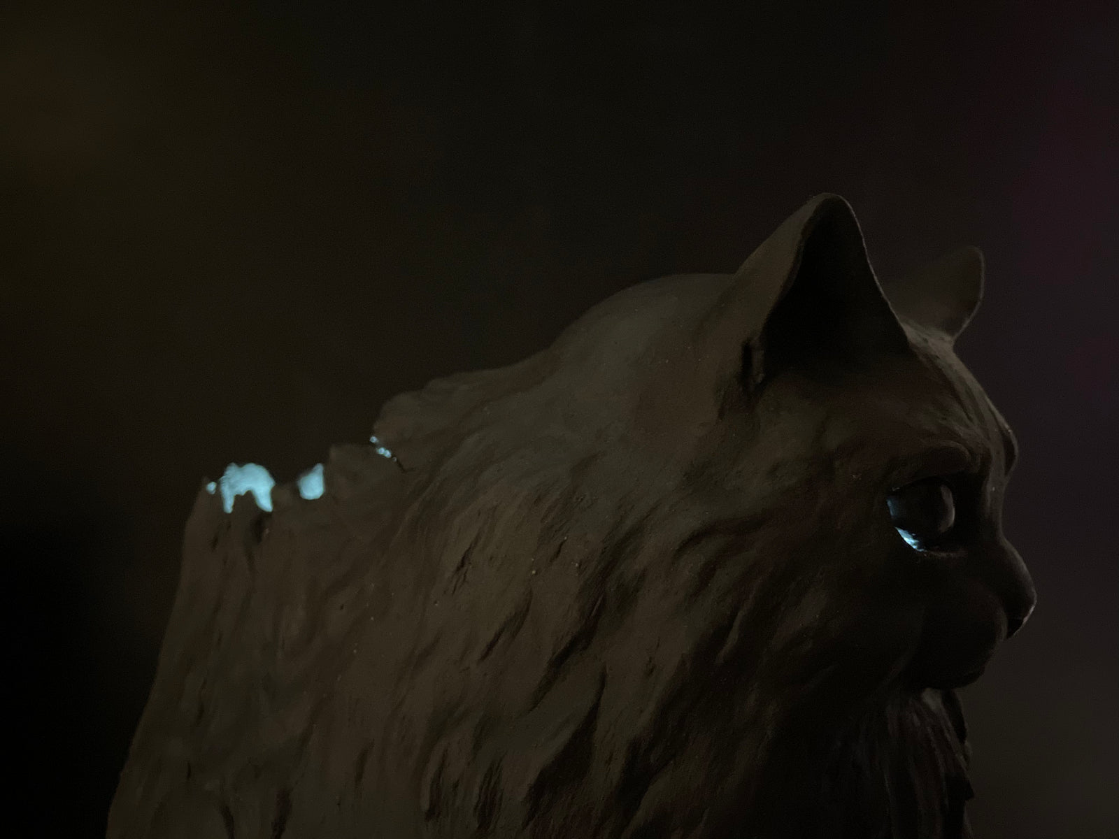 Black Cat