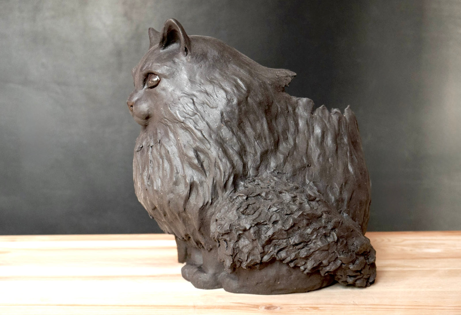 Black Cat