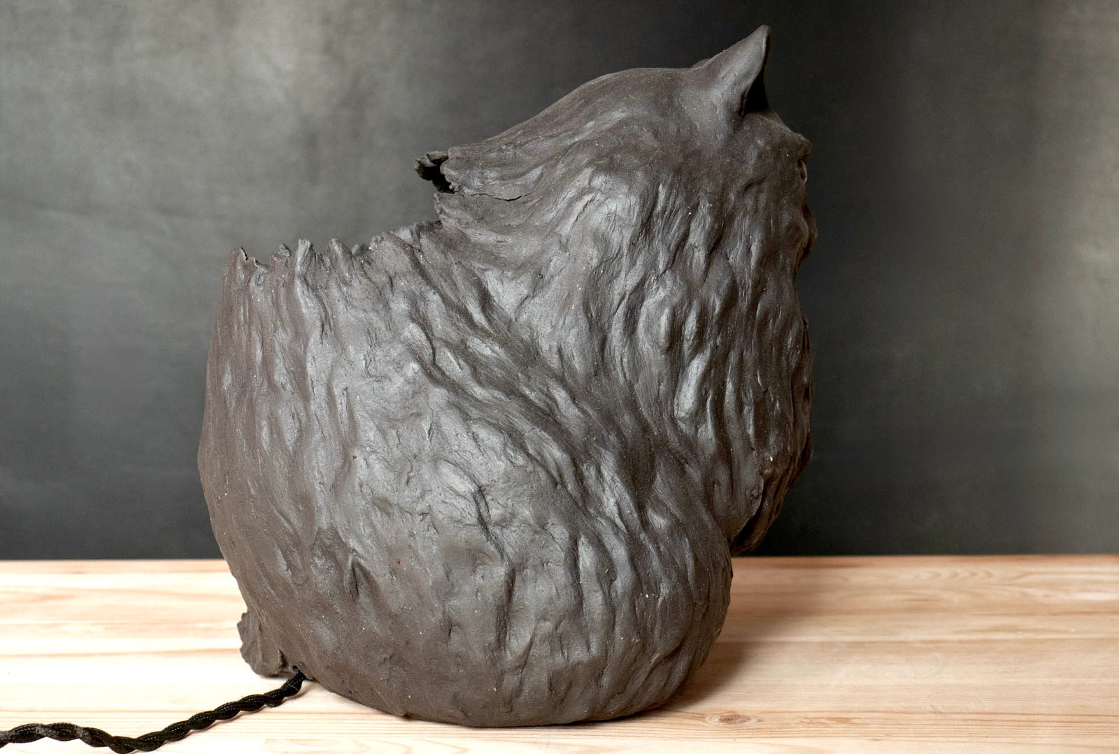 Black Cat
