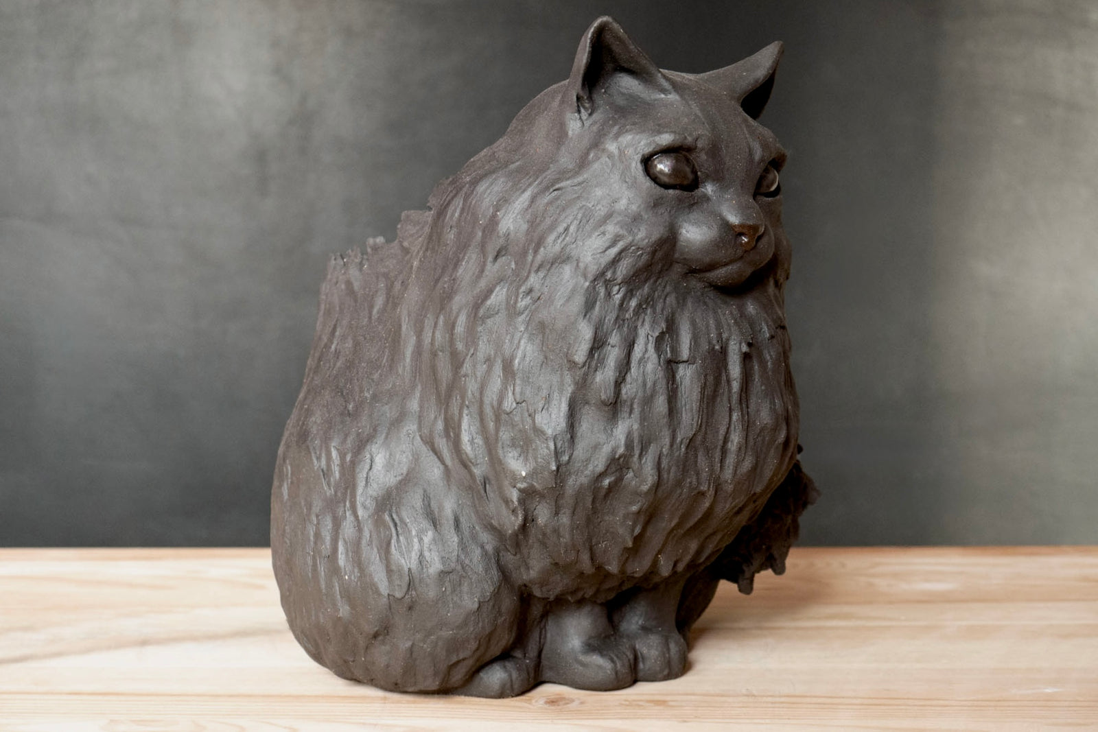 Black Cat