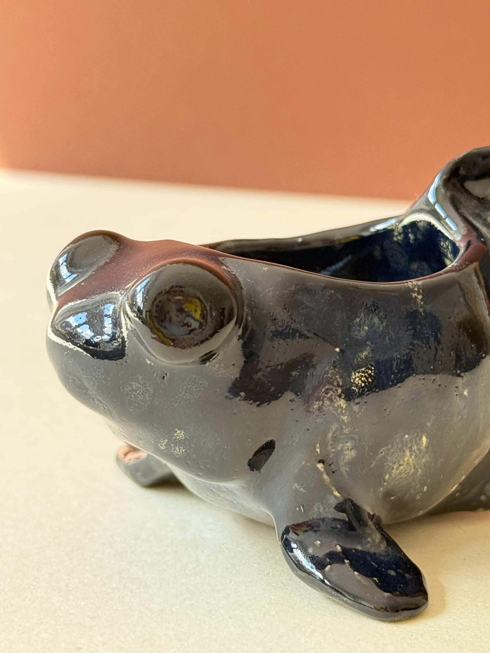 Butterfly Telescope Goldfish
