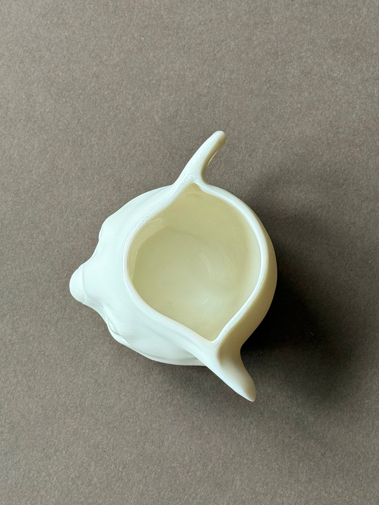 Coffee cup Koala