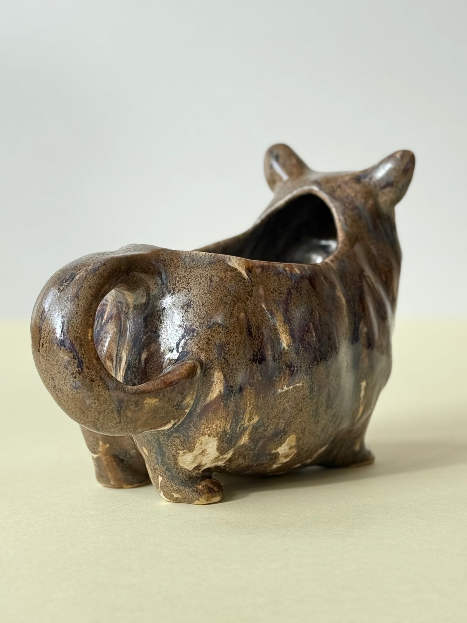 Cup Corgi