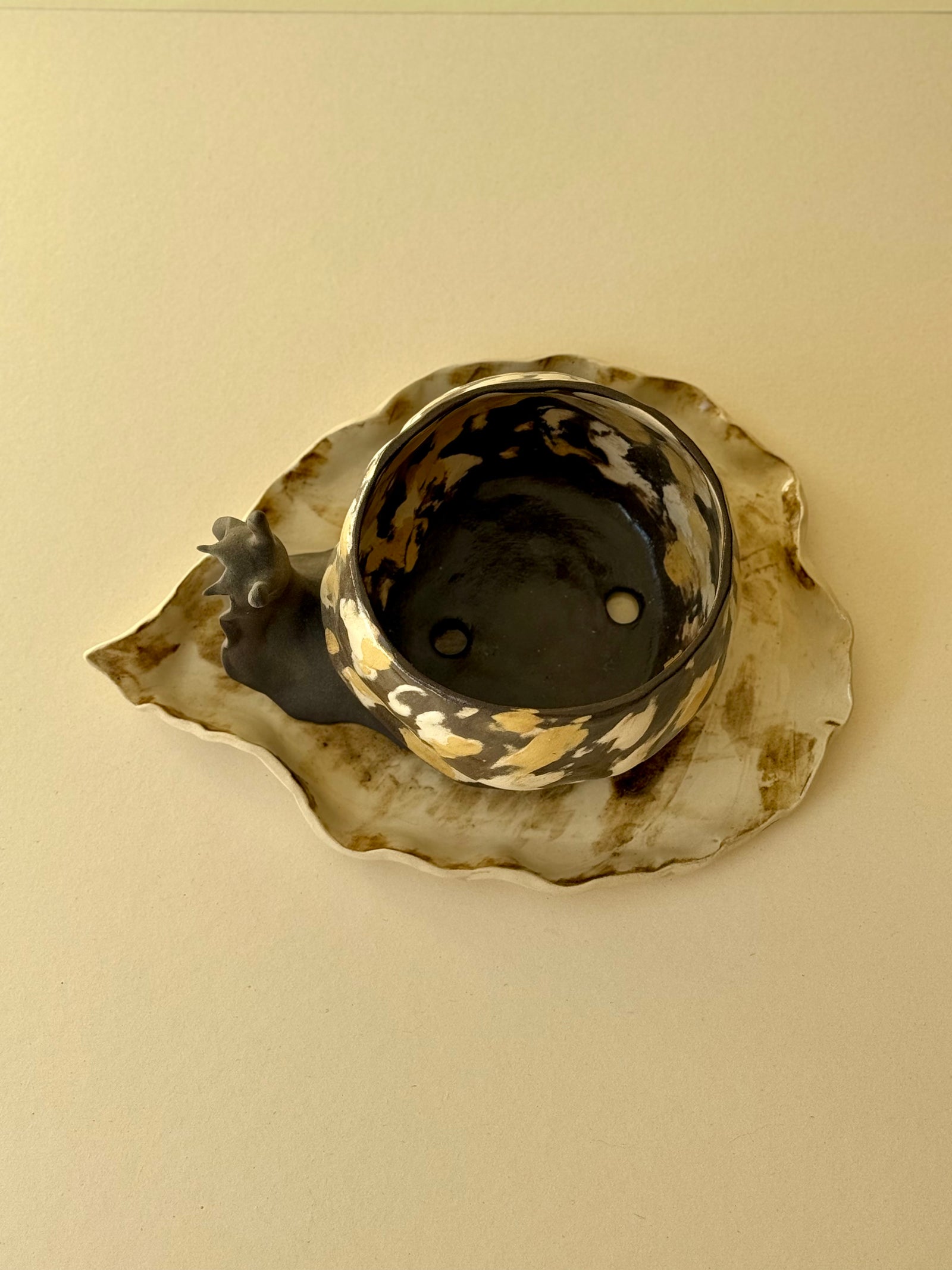 Flowerpot Snail