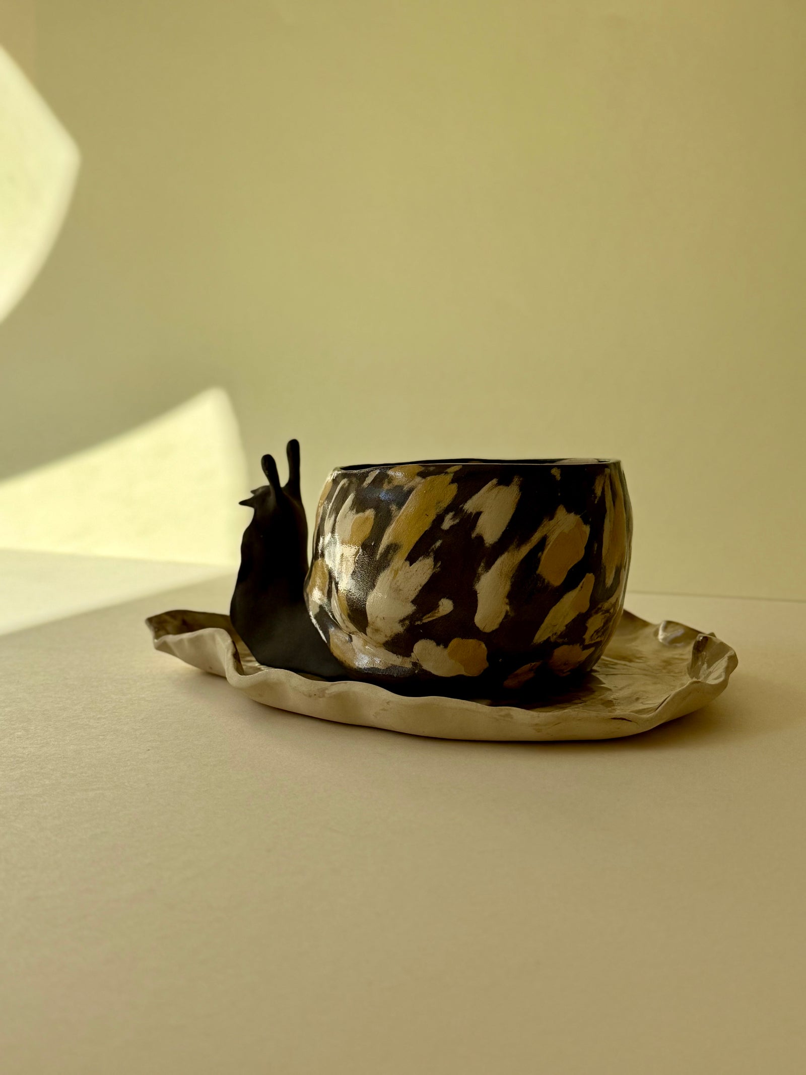 Flowerpot Snail