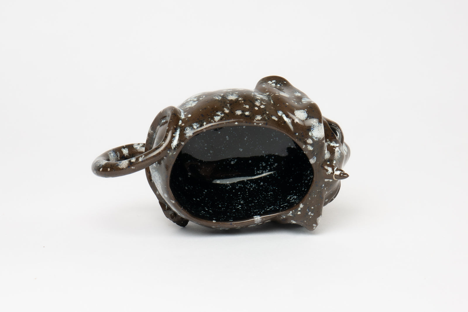 Long-eared