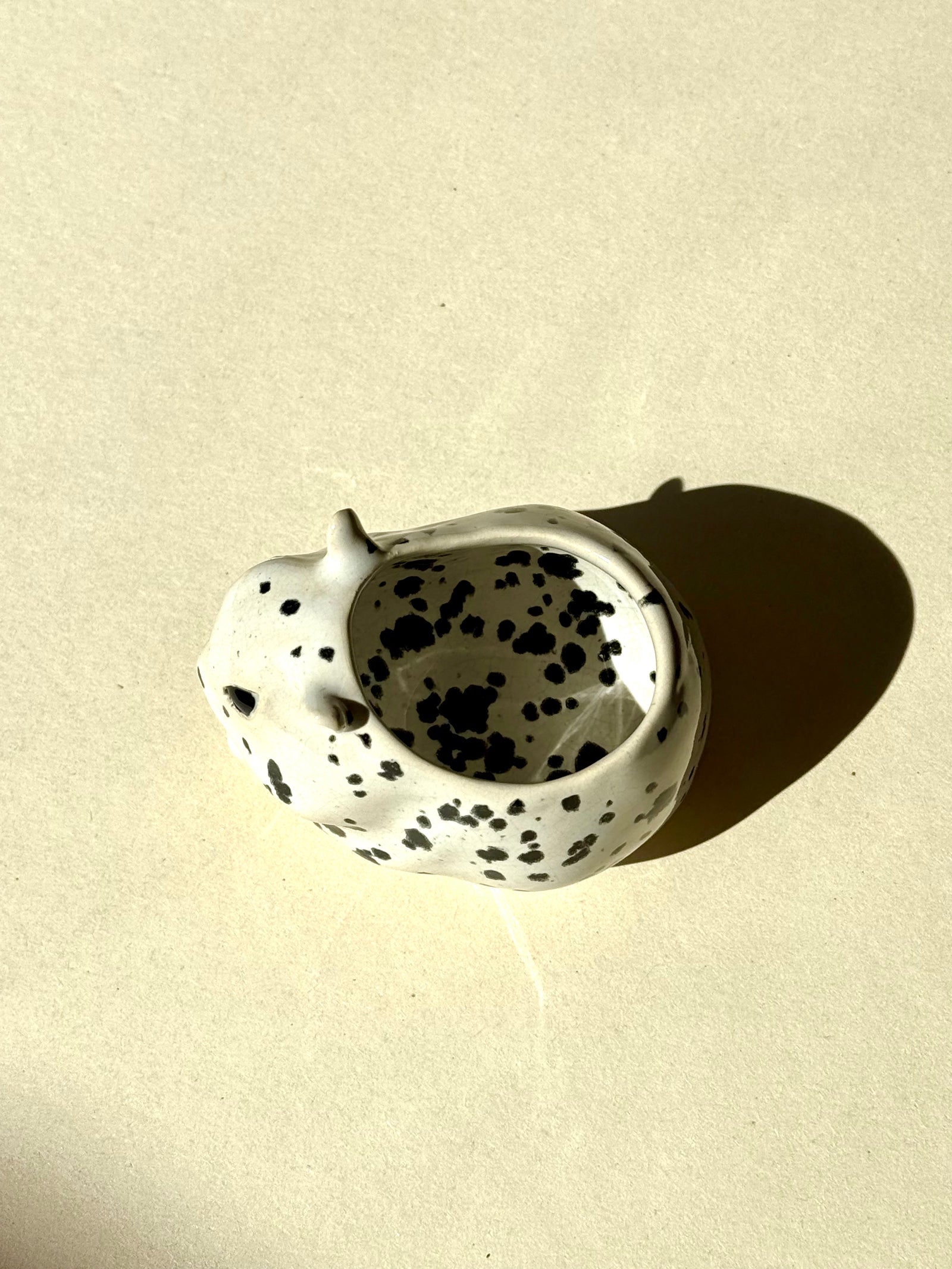 Sauceboat Hamster