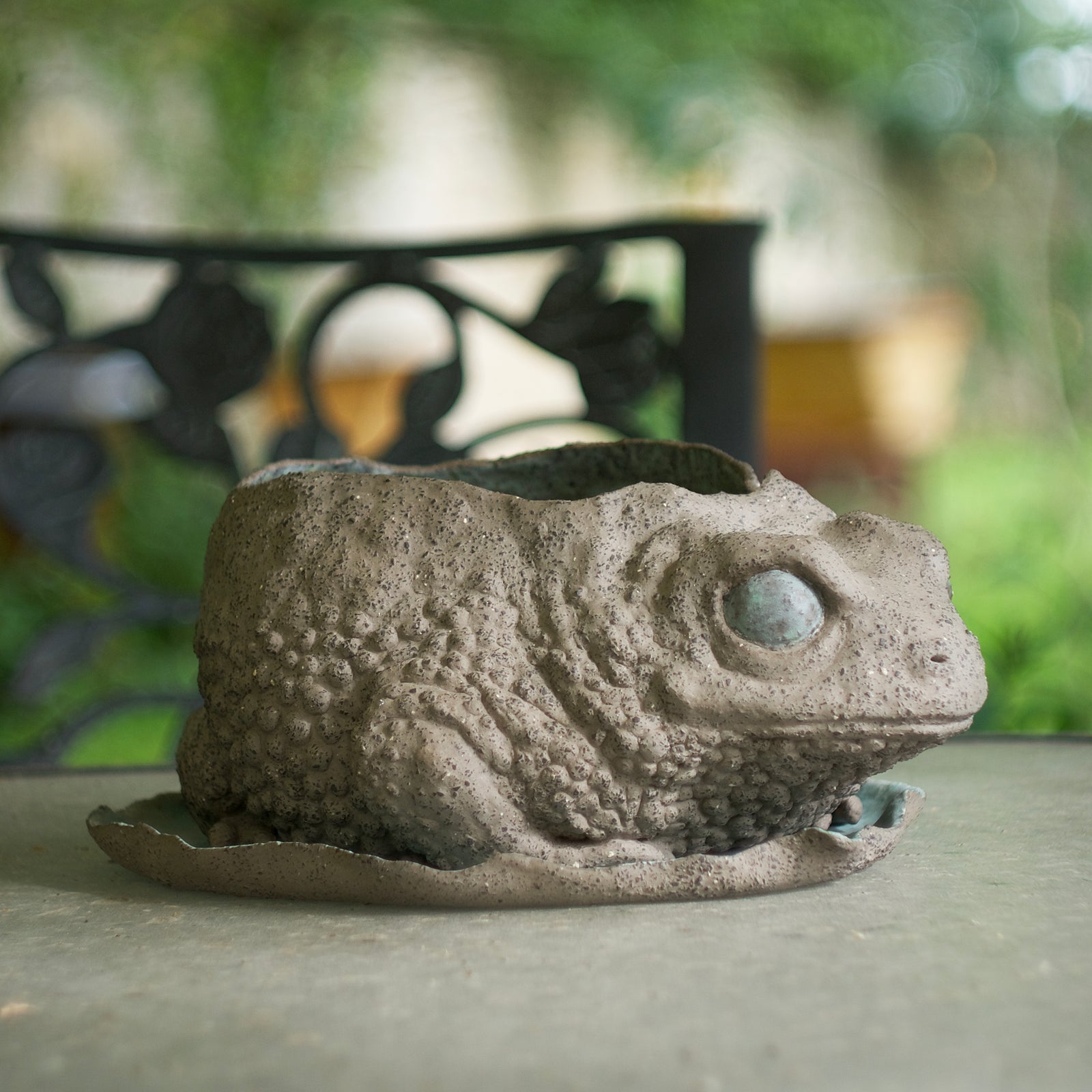 Toad
