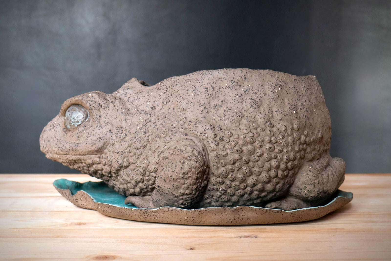 Toad