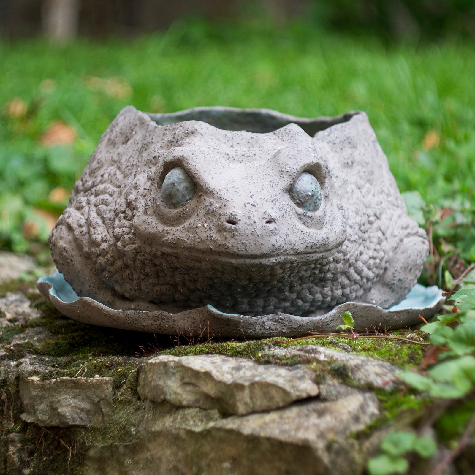 Toad