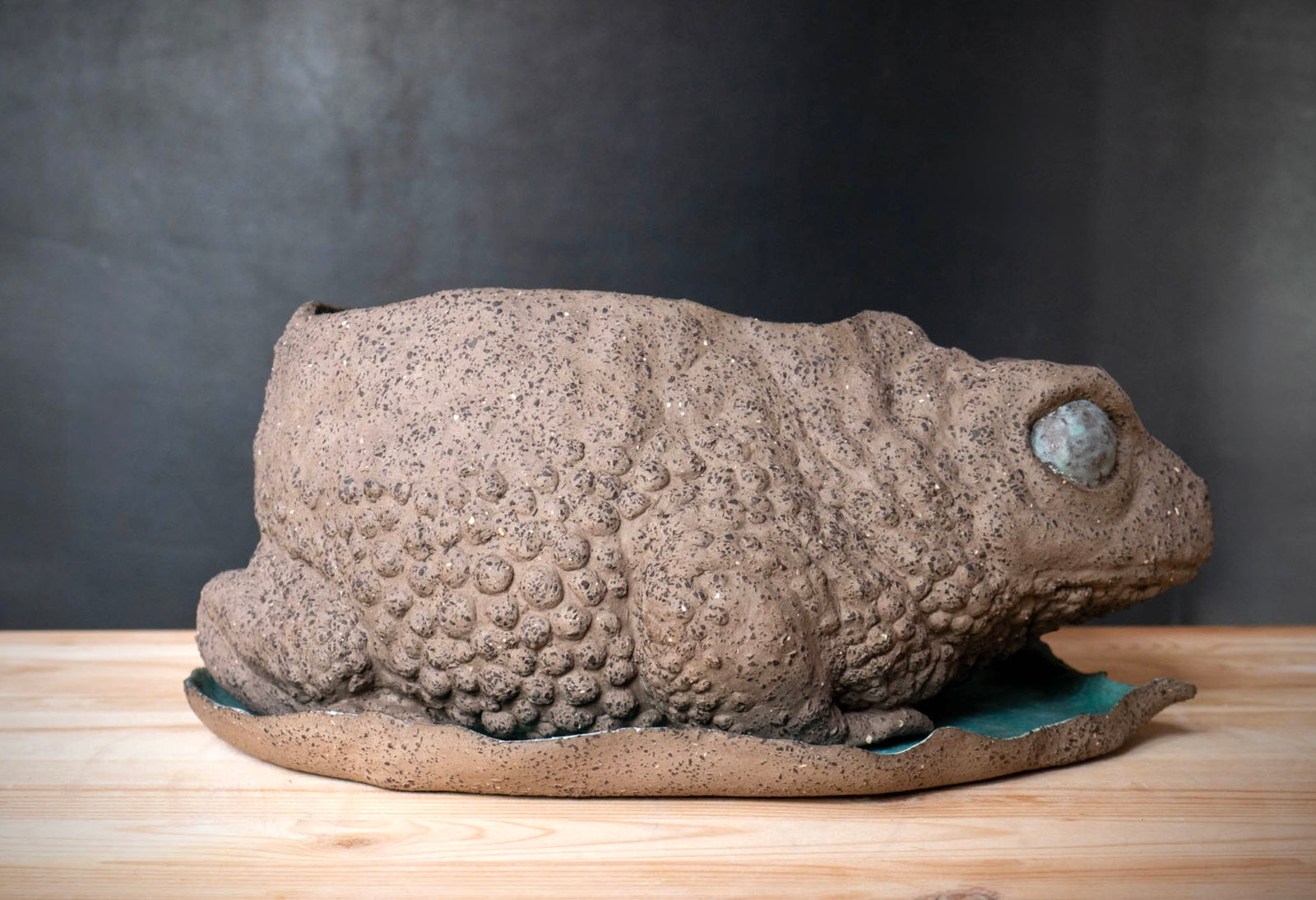 Toad
