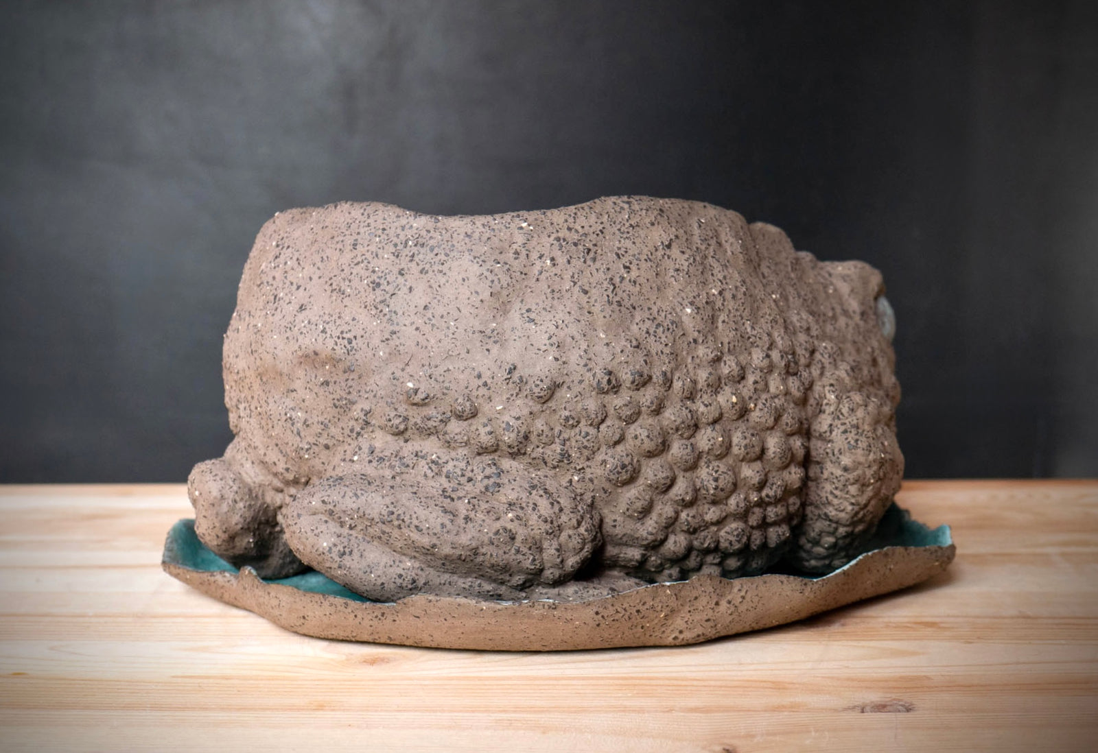 Toad
