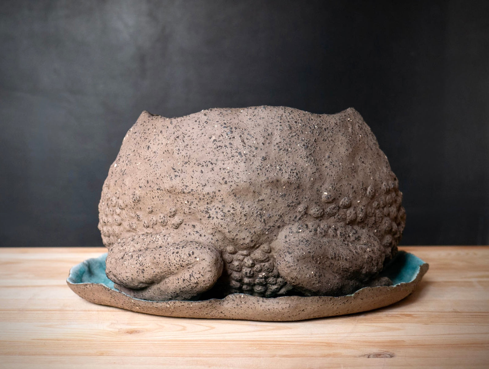Toad