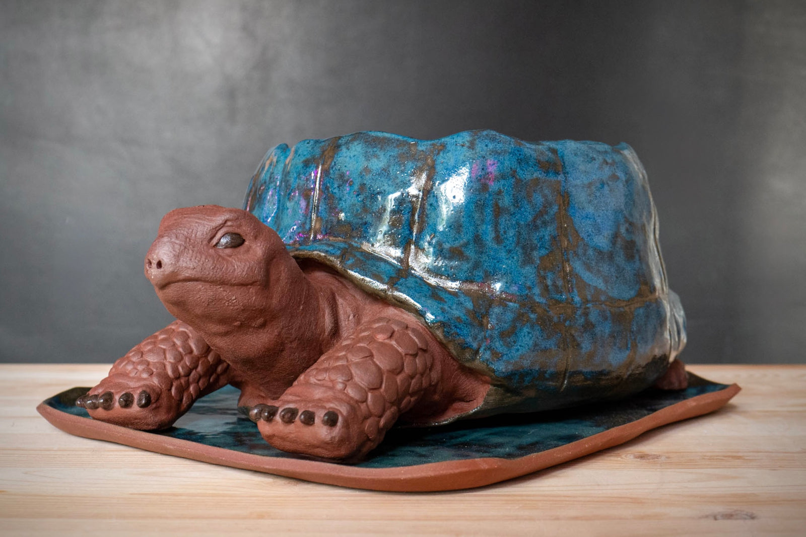 Turtle