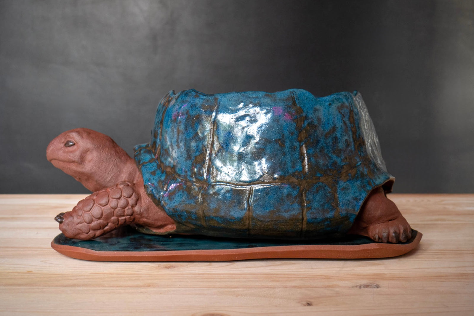 Turtle