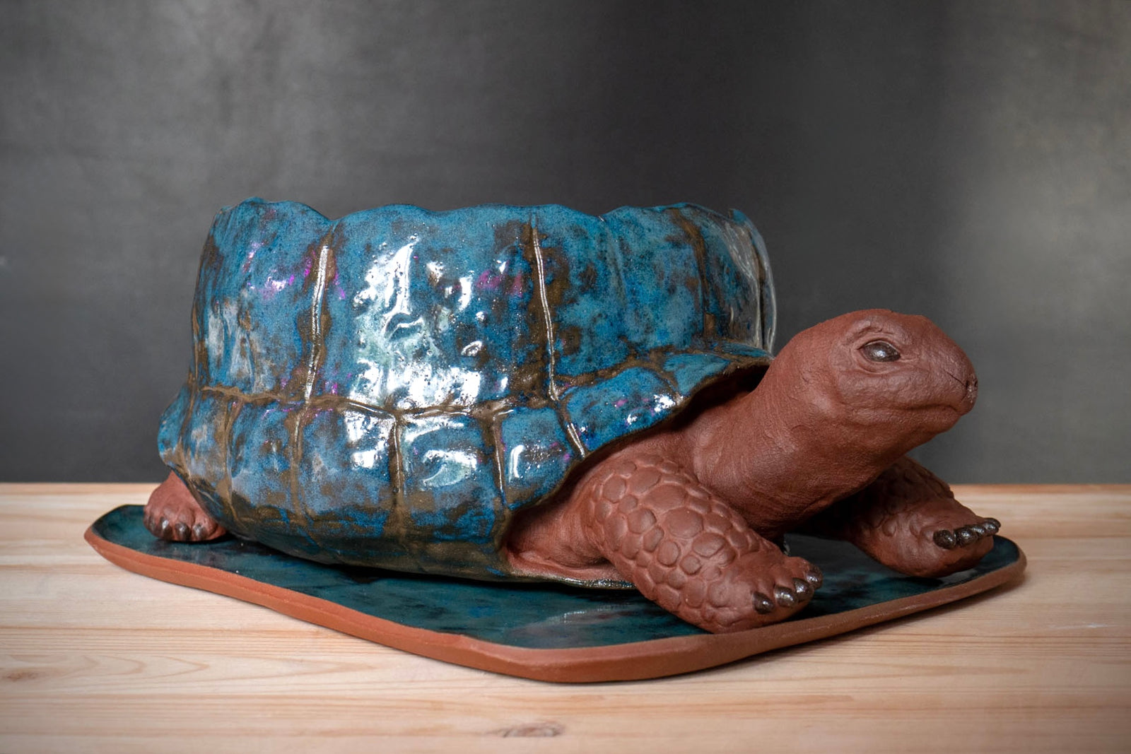 Turtle