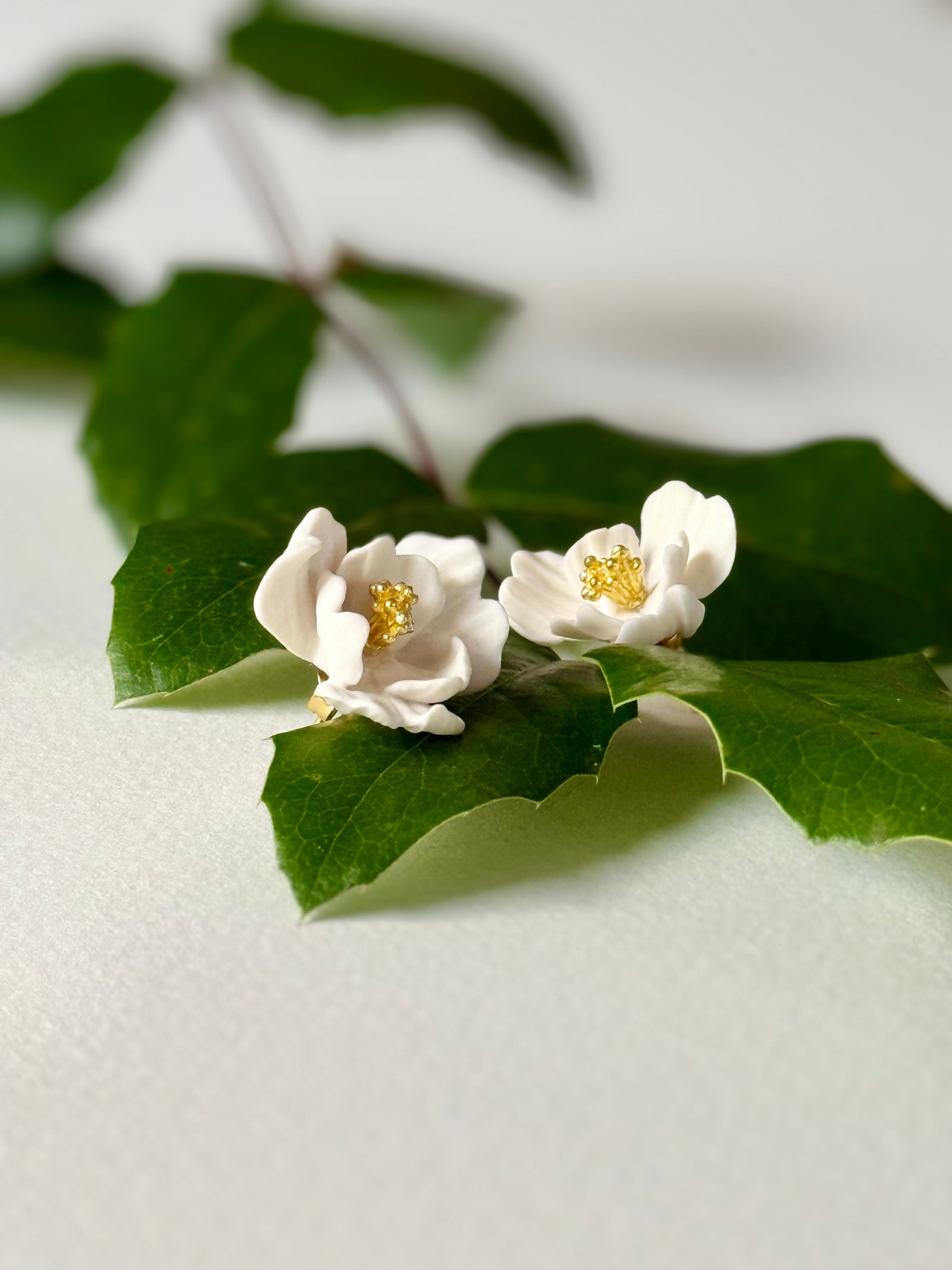 Wavy Petals