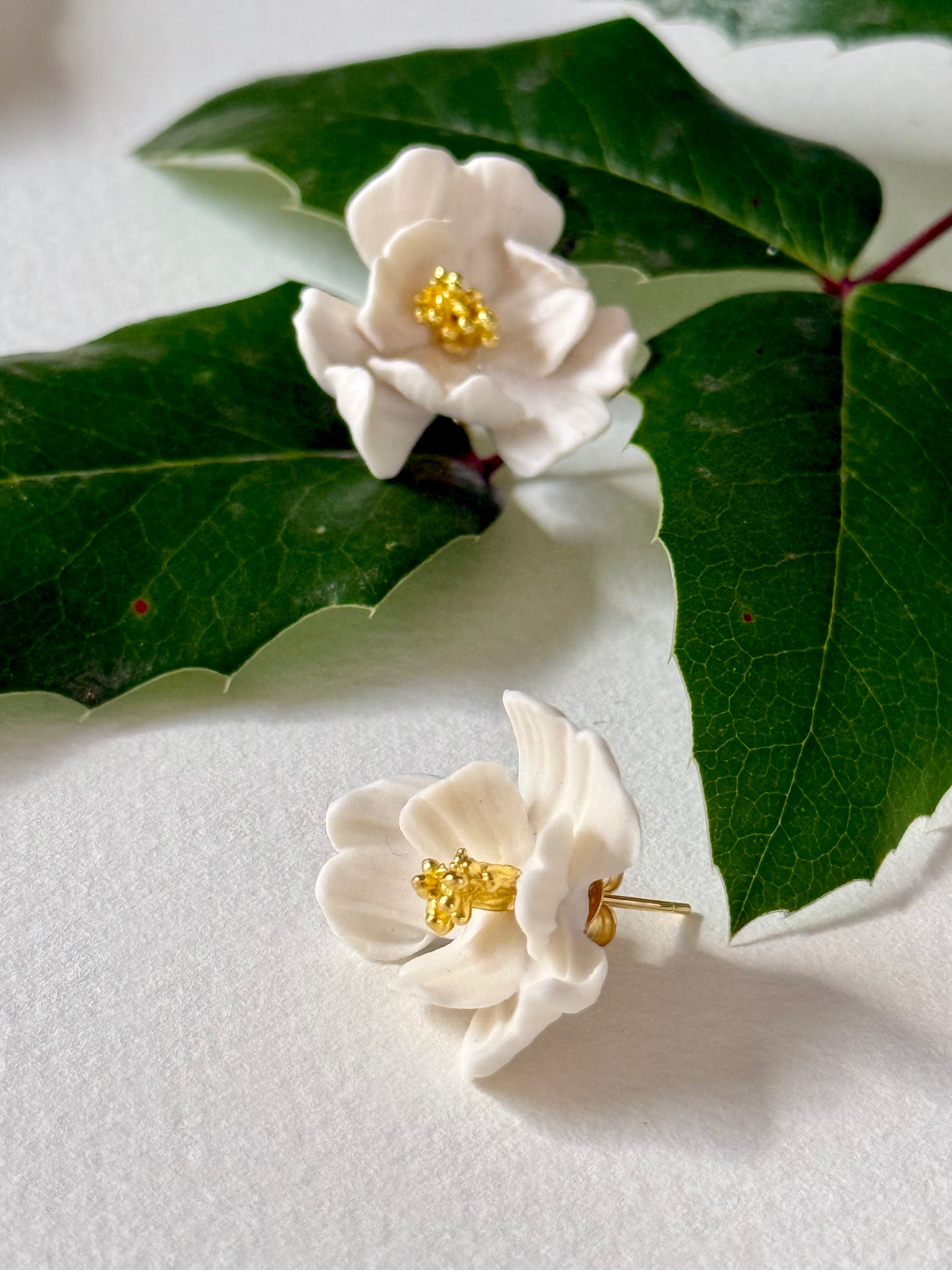 Wavy Petals