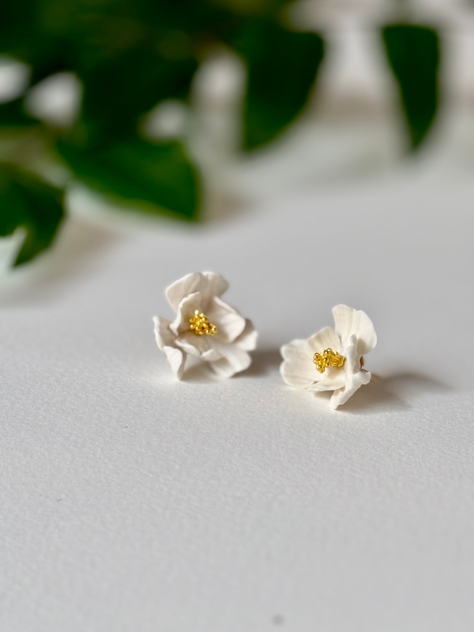 Wavy Petals
